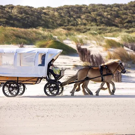 Deichsonne - Mit Wintergarten Und Blick Richtung Wattenmeer Йюст